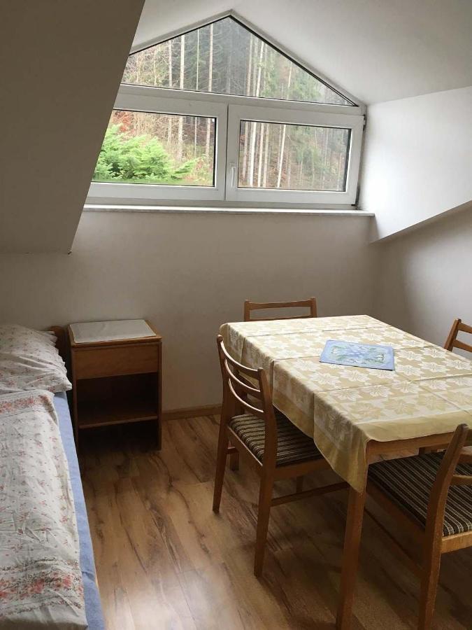 Apartman - Rokytnice Nad Jizerou Appartement Buitenkant foto